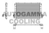 AUTOGAMMA 104973 Intercooler, charger